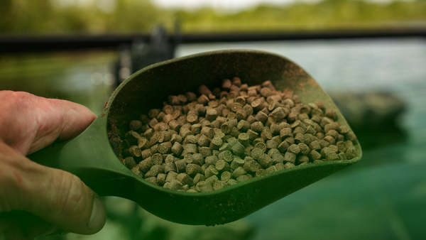 Aller Aqua pelete za feeder ribolov – kontrolisano ponašanje na hranilici